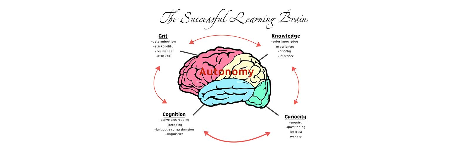 Executive Function Skills